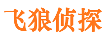 郫县侦探公司